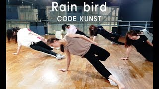 CODE KUNST(코드 쿤스트) _ rain bird(비네) / Dance Choreography 이대댄스학원