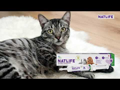Pet Natural Remedies | Natlife | Energy Enhancing Supplements For Pets