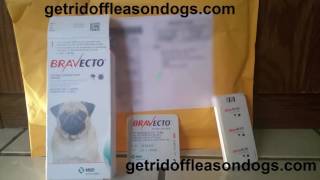 Bravecto For Dogs Reviews Rebates Coupons | Bravecto Without Vet Prescription