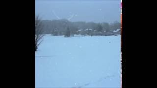 ricky eat acid - die junky scum