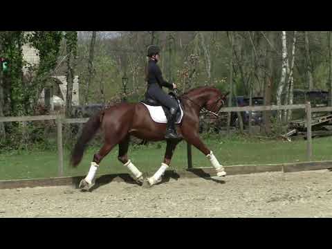 2018 Wallach von vivaldi is Klar im kopf mit Top GGA