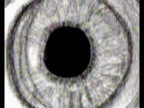 CADAVERES - Elveszett Szavak - These Eyes Hungarian Version