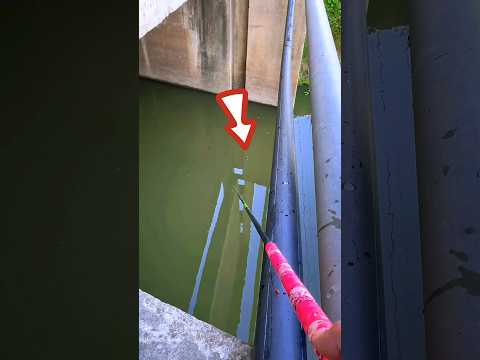 Best Fishing Rod For Carp Fishing