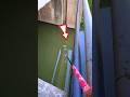 Best Fishing Rod For Carp Fishing