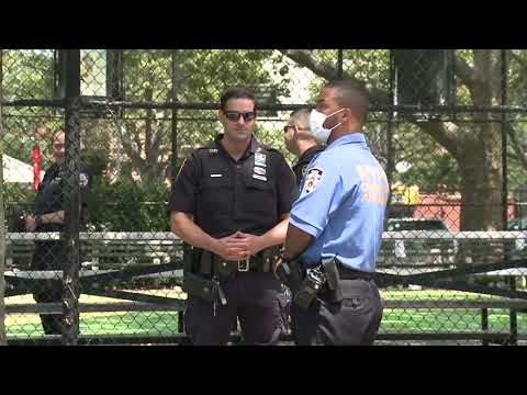 NYPD Illegal Gun Seizures