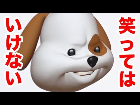 Kの文字が入った犬の名前
