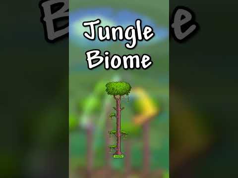 What Your Favorite Terraria Biome Says About You!