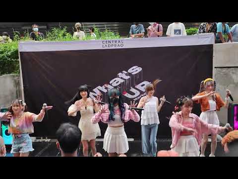 Castella : จือดื่อดึดจือ @ Aidoru Matsuri # 3 - Central Lardpao【4K 60fps】