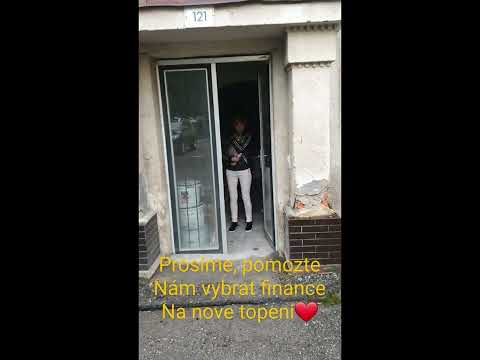 Pomohli jste S.O.S. útulkovým kočičkám