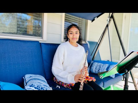 SALSA SIESTA- #14- Flute Lessons for Beginners