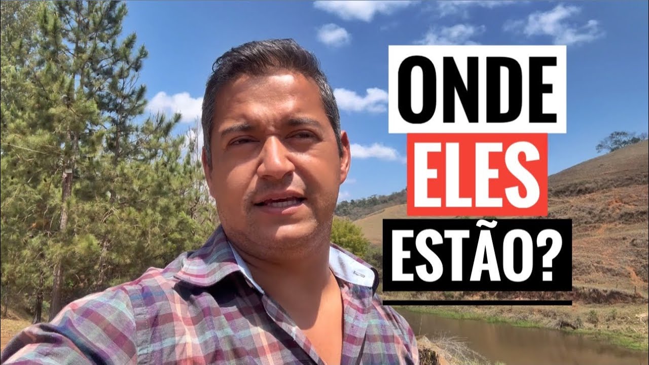 ONDE ESTÃO OS ANIMAIS DO SÍTIO que VOCÊS NÃO ESTÃO VENDO 😬