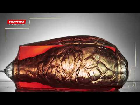 Introduction to Norma ammo