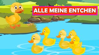 Alle meine Entchen + 25 min deutsche Kinderlieder | Kinderlieder zum Mitsingen