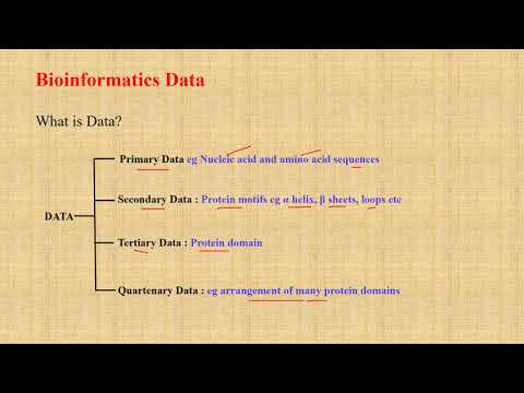 Introduction To Bioinformatics And Summary For Beginners