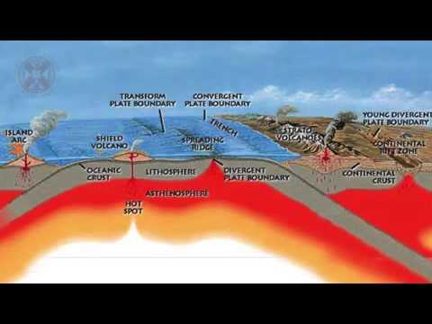 1.3 - Coursera: Life on Earth