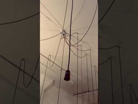 Francisca Griffin & the Bus Shelter Boys.