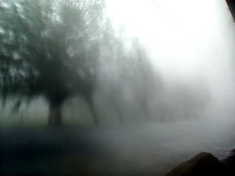 eBihoreanul.ro - Furtuna la Nimăiești, Bihor