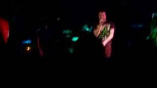 Say Anything, yellow cat/red cat