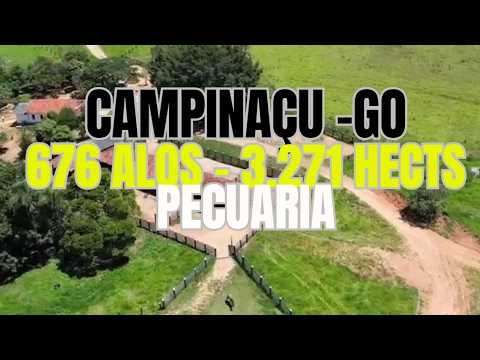 Fazenda de Pecuária na Região de Campinaçu – GO | 676 Alqueires (3.271 ha) (FAZ 197)