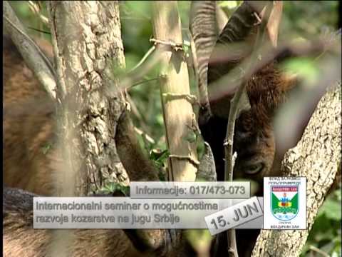 Seminar o kozarstvu, Vladičin Han, jun 2013. - najava