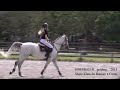 Shere Khan du Banney x Cento