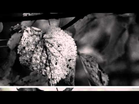 GhettoEhn ft Toni -  Nena Loke