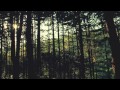 Kryptic Minds Feat Alys Blaze Time Flies