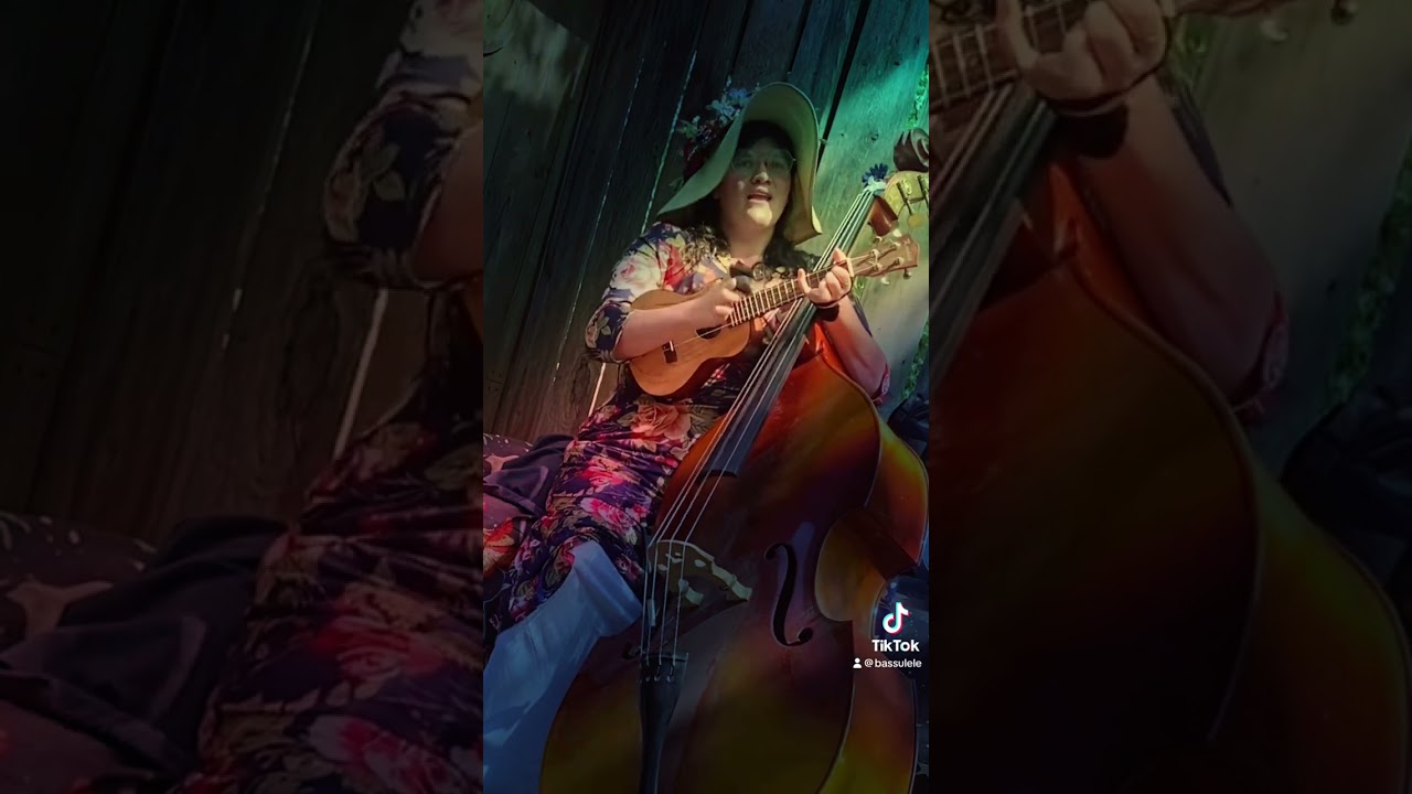 Promotional video thumbnail 2 for Charlie Shea
