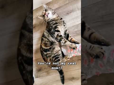 25 января 2023 г.