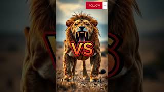 Download lagu #beruang #vs #singa | #animals #venom mp3
