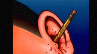 Birds-Butthole Surfers