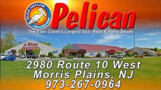 preview picture of video 'Pelican Morris Plains, NJ Summer 2011'