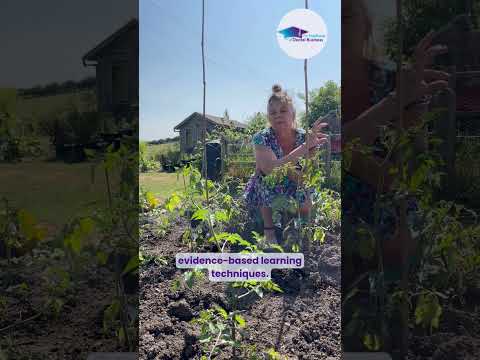 What if I can't attend a session, do you record your workshops?