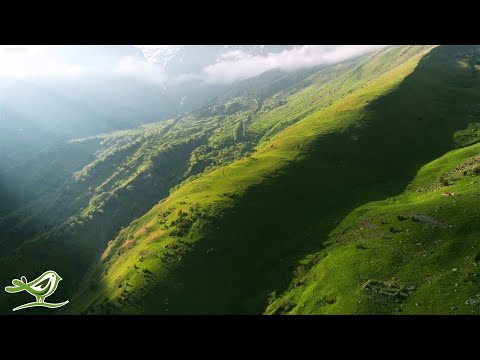 Peder B. Helland - The Hidden Valley