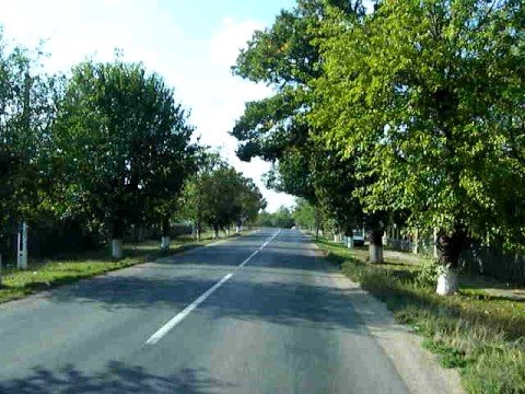 DN3: Radu Voda, Calarasi