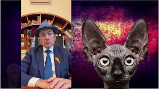 Ну где же еще отыскать человечка, который так мило покажет сердечко... Костян 