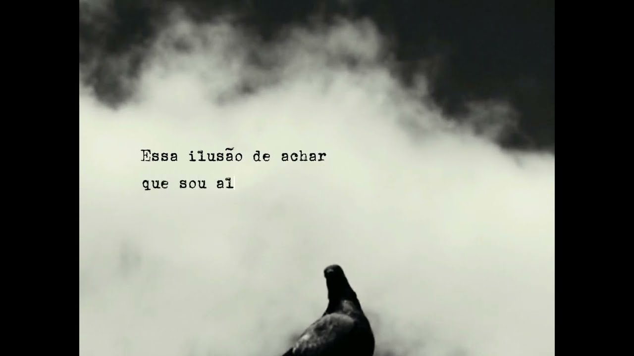 um pássaro feito de nuvens - audiodescrição