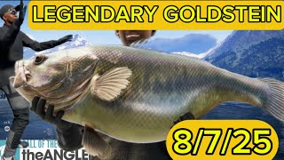 Goldstein Is The Legendary Fish Active This Week 8/7/25 - Call Of The Wild : The Angler