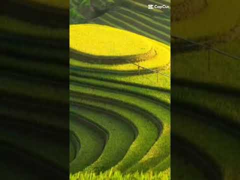 À Lôi remix - Double2T & Masew