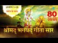 श्रीमद भगवद गीता सार | संपूर्ण गीता | Bhagawad Geeta- All Chapte