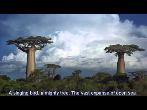 Thumbnail for Creation Calls video