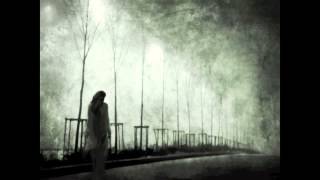 Taylor Swift You&#39;re Not Sorry Lyrics