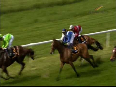 Galopprennbahn Dresden - 06.05.2017 - 3.Rennen