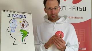 Drie breinen in je hersenpan