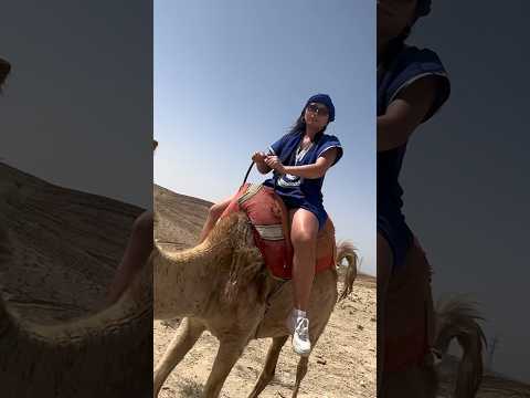 Camel riding in Marrakech, Morocco