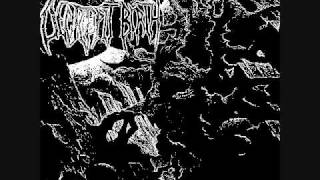 Decrepit Birth - The Living Doorway 8-Bit