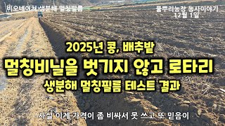 비오네이쳐 생분해필름 감자 후작으로 콩 심은 밭 테스트 결과 [농자재테스트]