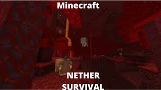 Minecraft Nether Survival Ep.1,  First House and GOLD!