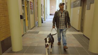 Spotlight: Rob Giumarra video