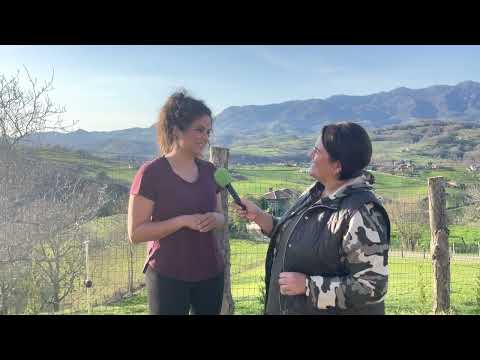 Interview with lawyer Montse Morán on the sale of rural properties / El Campo de Asturias